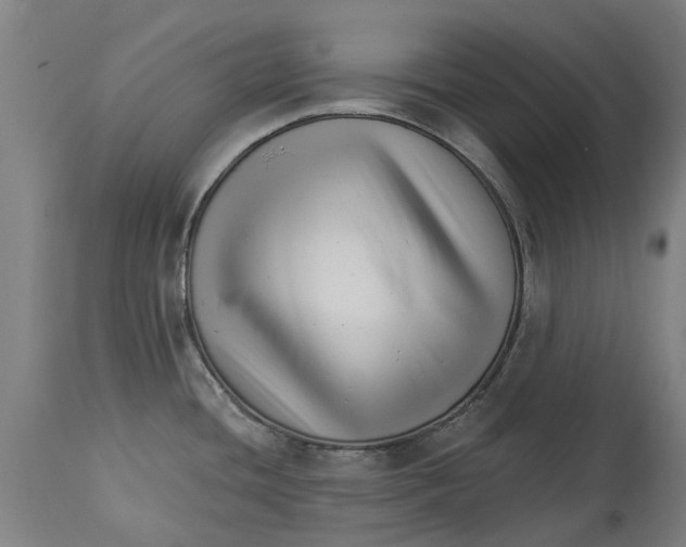 X0000114401436200911131356