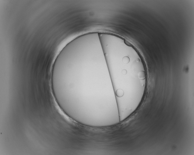 X0000114401437200911131356