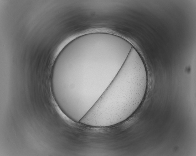 X0000114401438200911131356