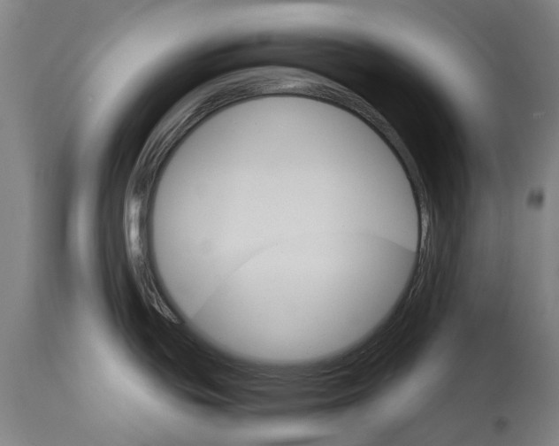 X0000114401439200911131356