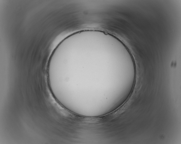 X0000114401440200911131356