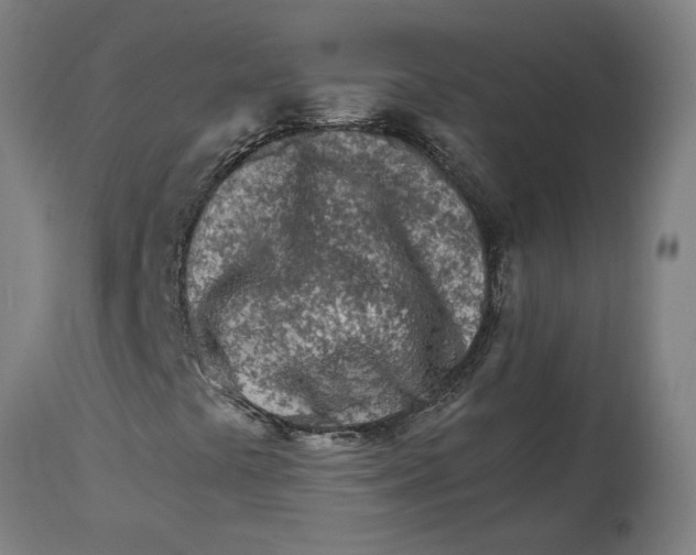 X0000114401441200911131355