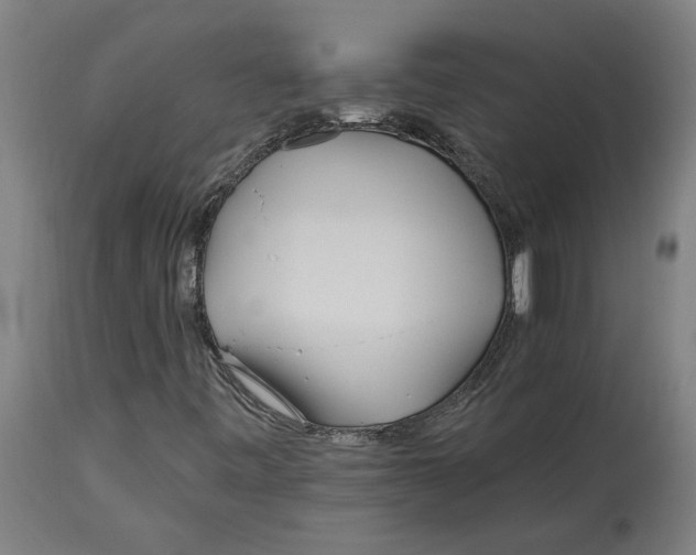 X0000114401443200911131355