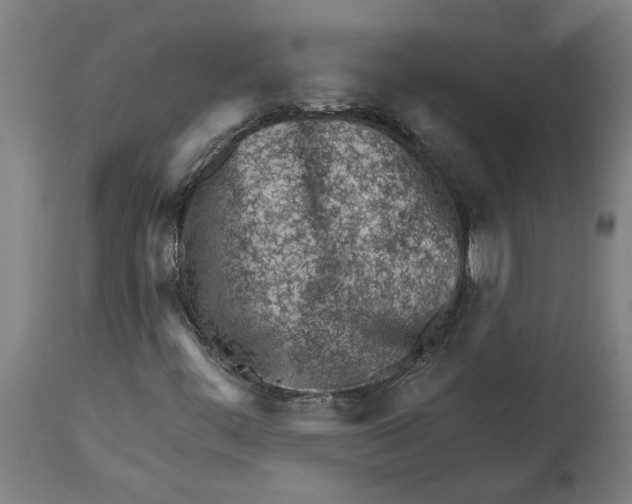 X0000114401444200911131355