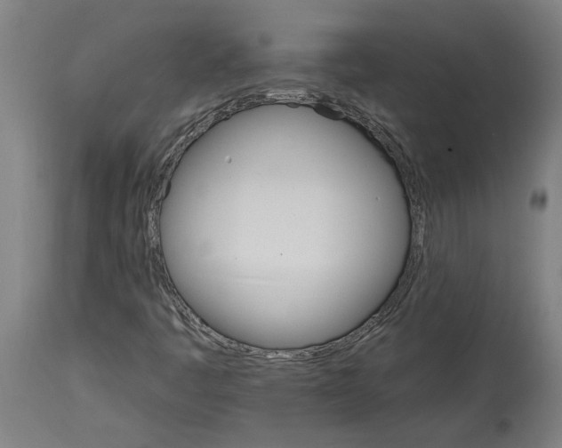 X0000114401445200911131355