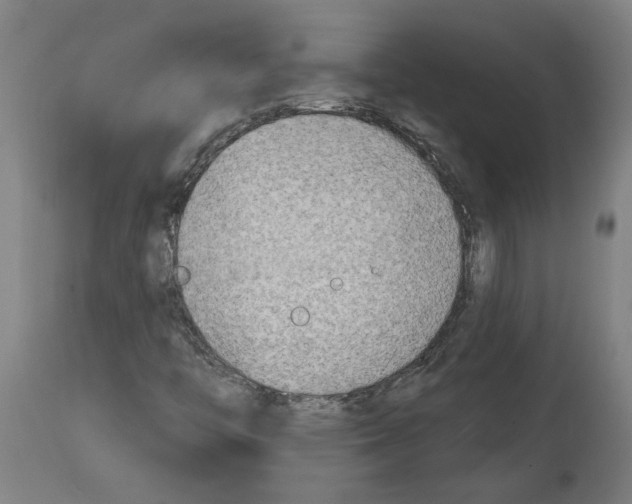 X0000114401446200911131355