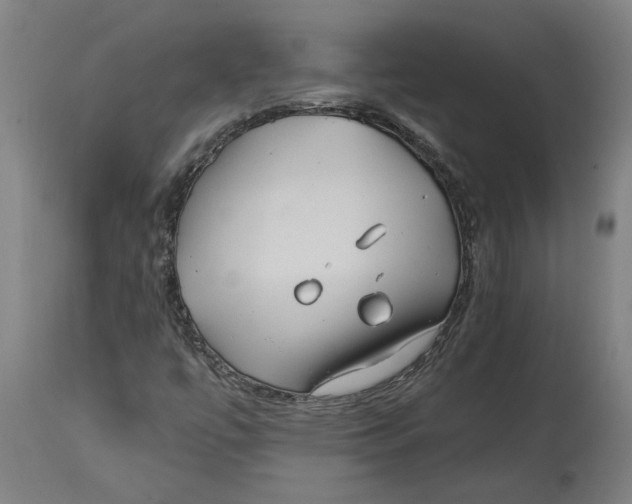 X0000114401447200911131355