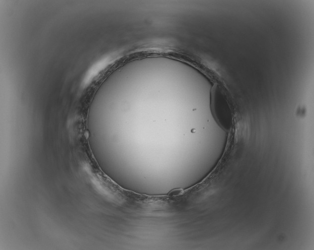 X0000114401448200911131355