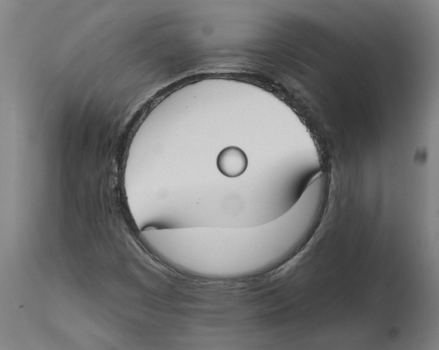 X0000114401449200911131355