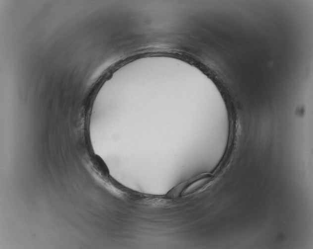 X0000114401450200911131355