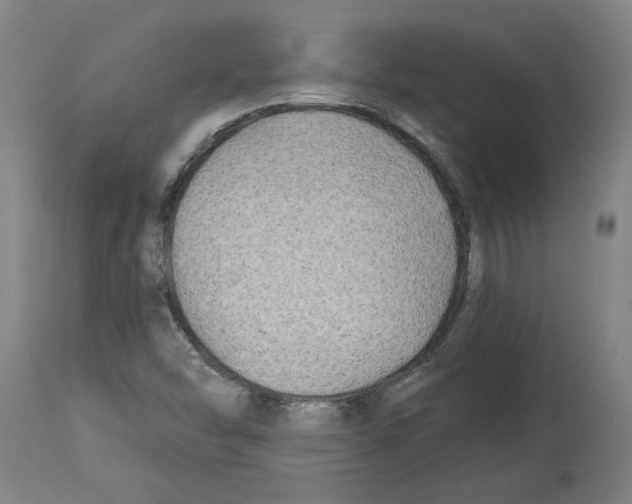 X0000114401454200911131355