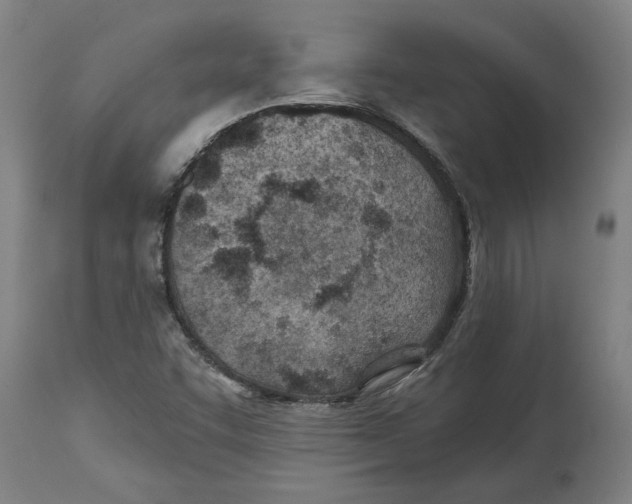 X0000114401455200911131355