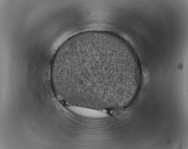 X0000114401459200911131355