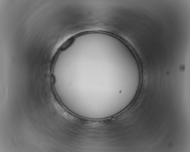 X0000114401460200911131355