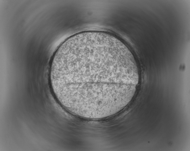 X0000114401463200911131355