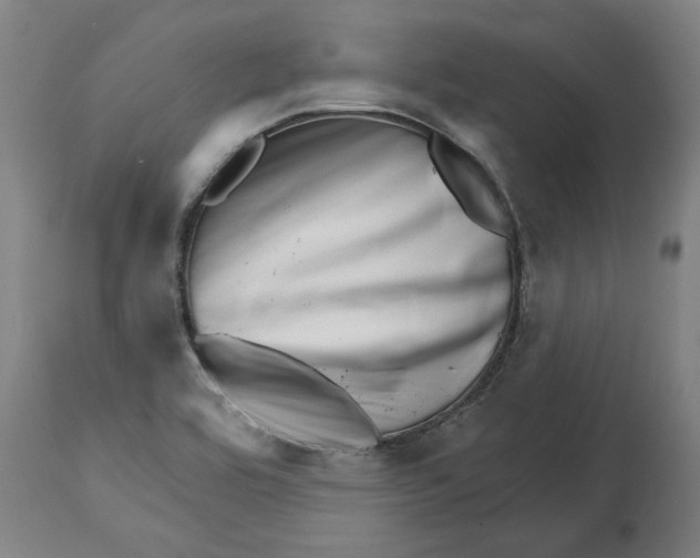 X0000114401464200911131355