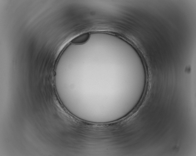 X0000114401465200911131355