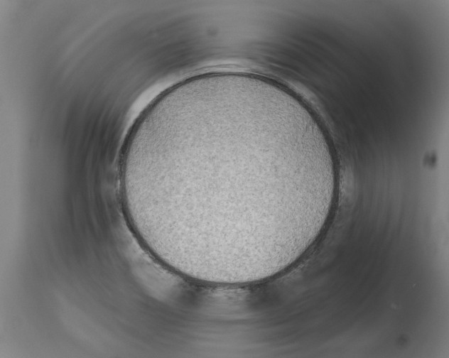 X0000114401466200911131355