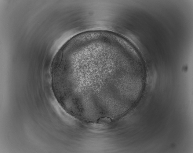 X0000114401468200911131355