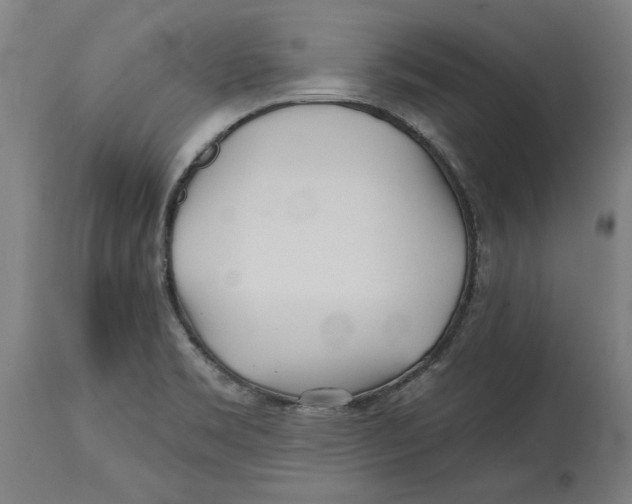 X0000114401469200911131355