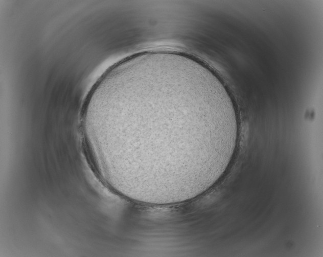 X0000114401470200911131355