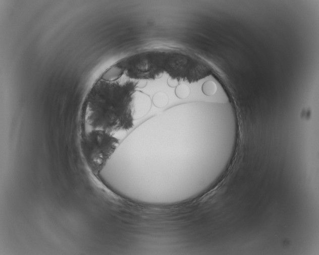 X0000114401471200911131355