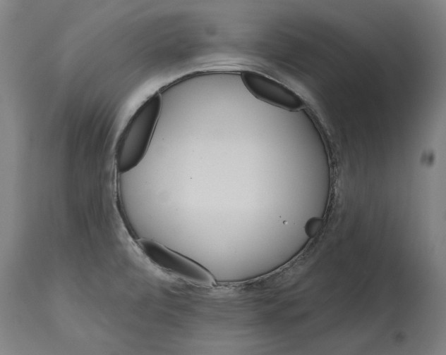 X0000114401472200911131355