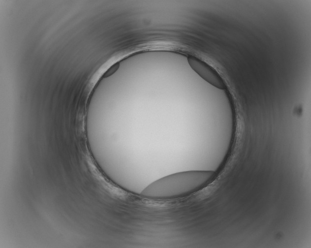 X0000114401473200911131355