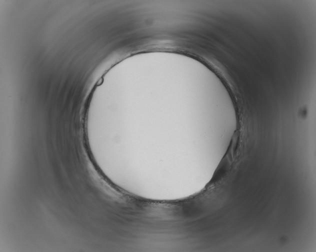 X0000114401475200911131355