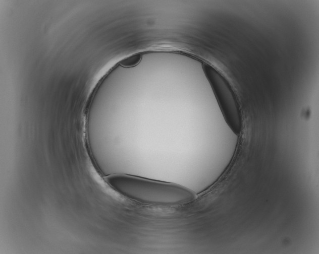 X0000114401476200911131355