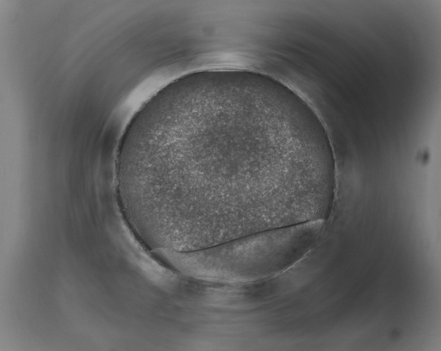 X0000114401477200911131355