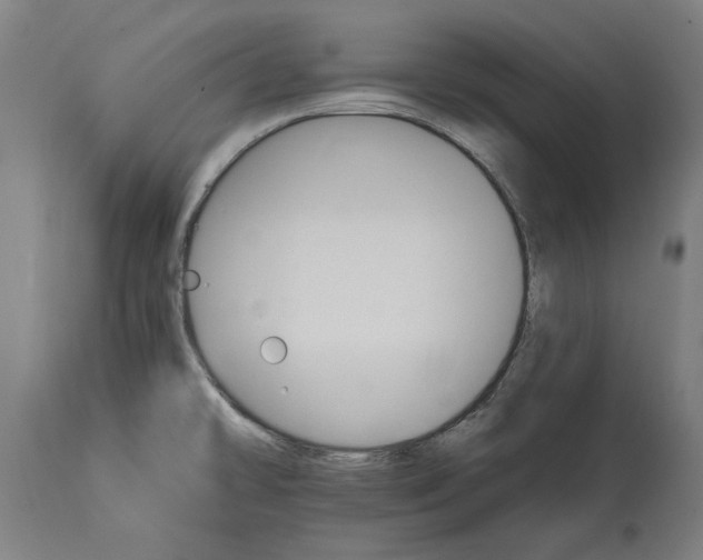 X0000114401478200911131355