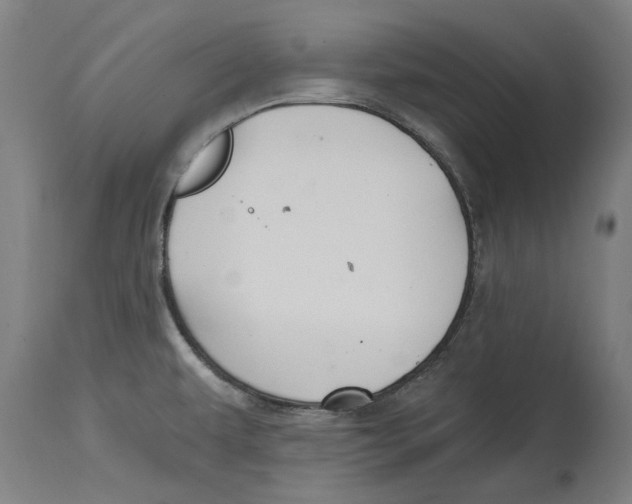 X0000114401479200911131354