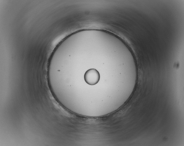 X0000114401480200911131354