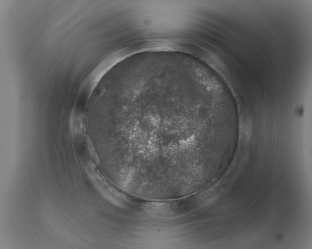 X0000114401481200911131354