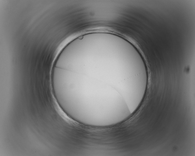 X0000114401482200911131354