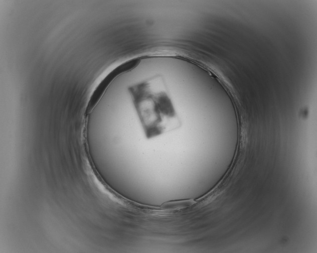 X0000114401484200911131354