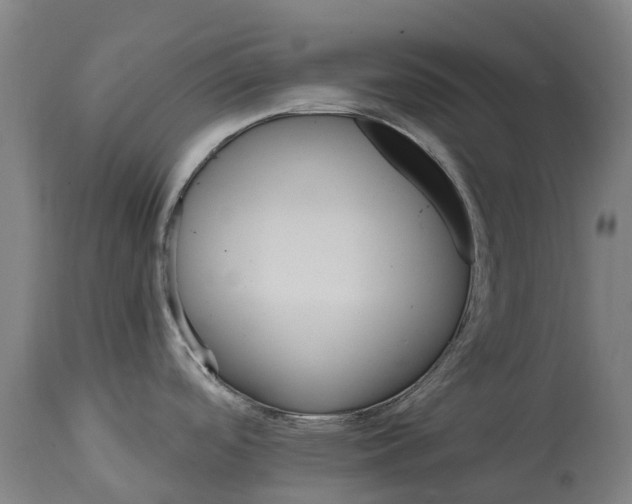 X0000114401488200911131354