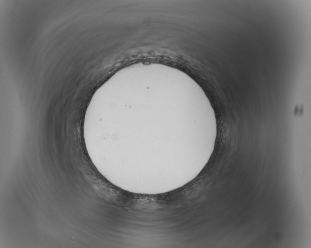 X0000114401489200911131354