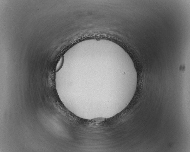 X0000114401490200911131354