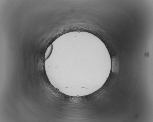 X0000114401491200911131354