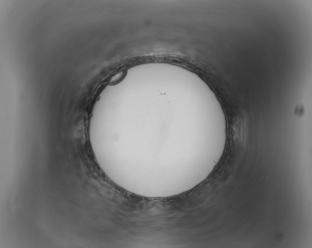 X0000114401493200911131354