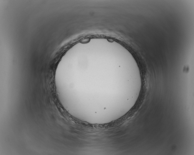 X0000114401494200911131354