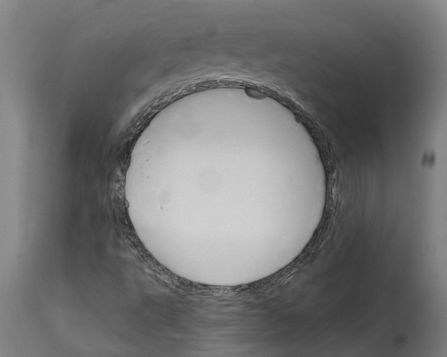 X0000114401495200911131354