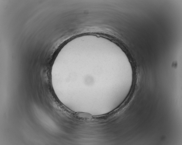 X0000114401497200911131354