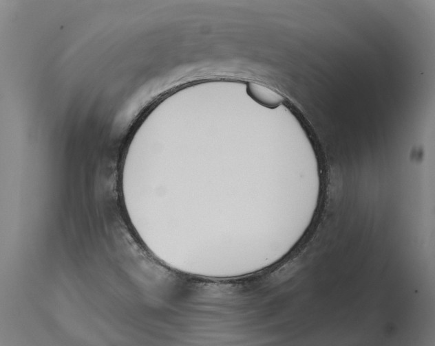 X0000114401499200911131354