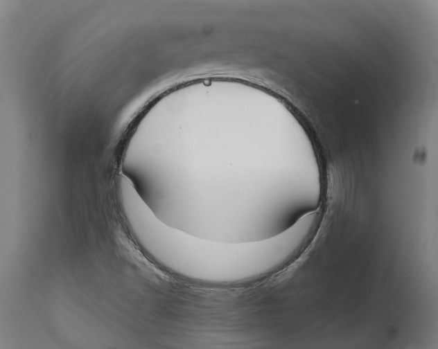 X0000114401502200911131354