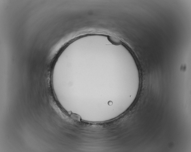 X0000114401503200911131354