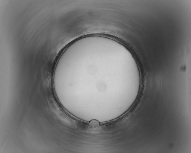 X0000114401505200911131354