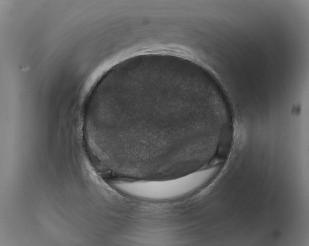 X0000114401506200911131354